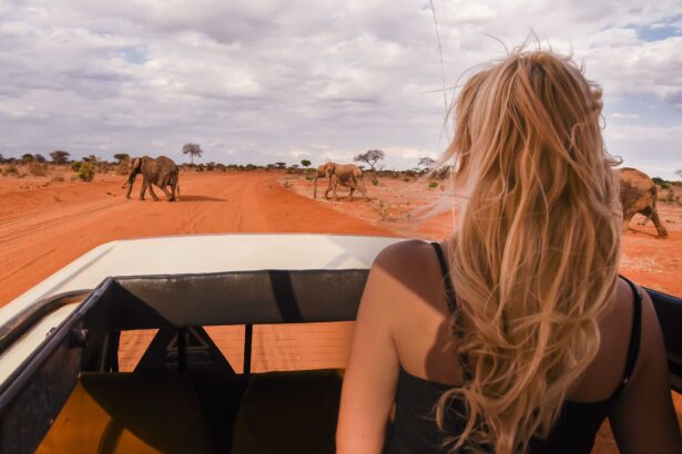 Safari no Quênia – quanto custa e como organizá-lo – informações práticas